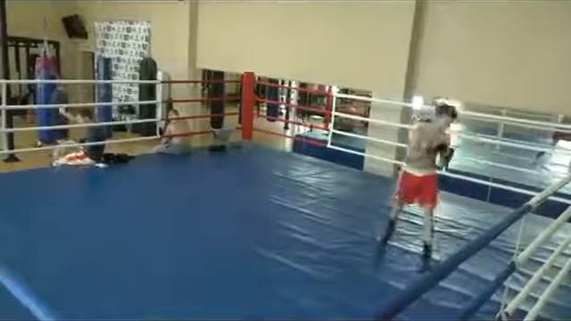 Клуб Питбуль Бой с тенью 3 8 2015 смотреть онлайн