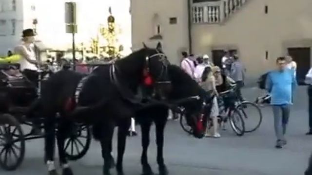 Отдых в Польше смотреть онлайн