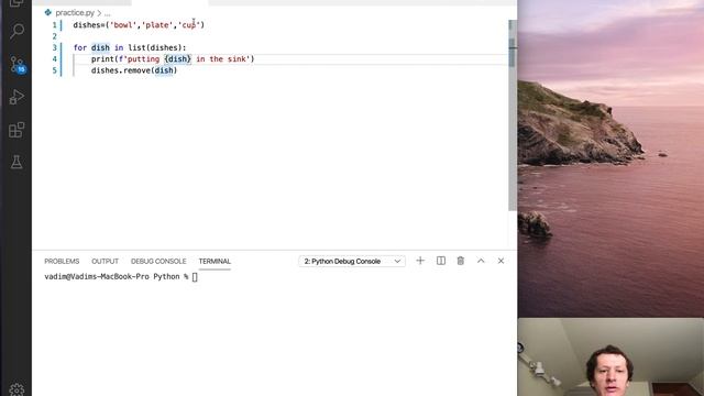 Python format list For loop смотреть онлайн