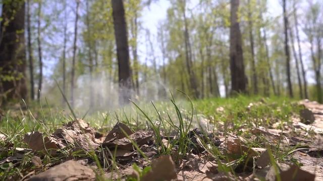 Соблюдайте правила пожарной безопасности.Берегите лес от огня! смотреть онлайн