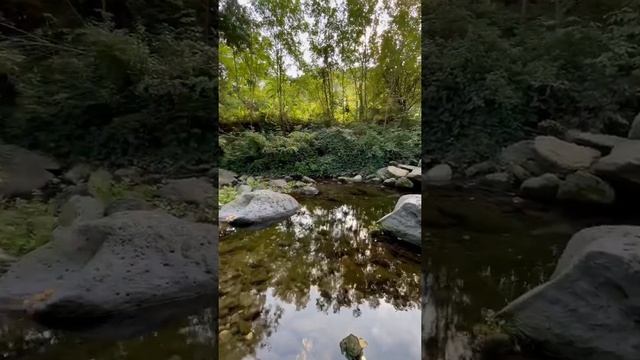 Речушка в Castellfollit De La Roca , Испания