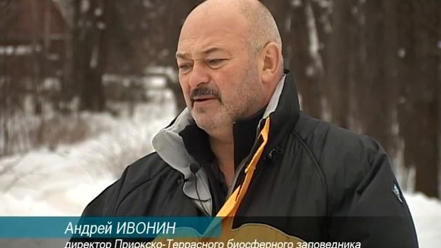 Заповедник смотреть онлайн