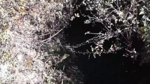 Пропавшие люди. Змеиные скалы. Сланцевы рудник. Часть 3.