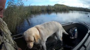 Лодка для охоты на уток