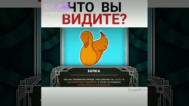 Что вы увидели сначало? Белку или утку? Я белку? смотреть онлайн