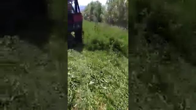 Сенокос 2019 самодельной косилкой смотреть онлайн