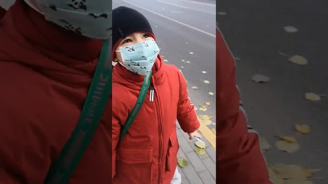 Какие автобусные остановки в Китае? Читаем названия остановок по-китайски, на английском нет...