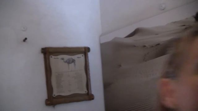 В музее верблюда в Дубаи. смотреть онлайн