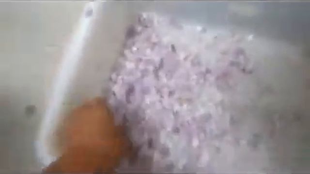 Как нарезать лук ровными кольцами. Titan FC-312A