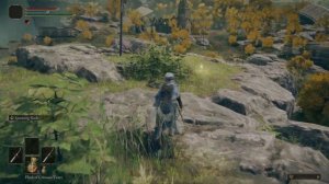 ELDEN RING - GamePlay ( PC Games)