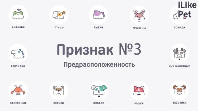 4 признака потери слуха у кошек смотреть онлайн