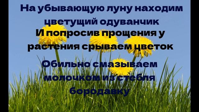 Бородавки исчезают Легко смотреть онлайн