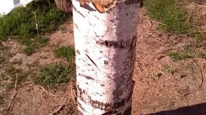 Как сделать умывальник из пластиковой бутылки своими руками