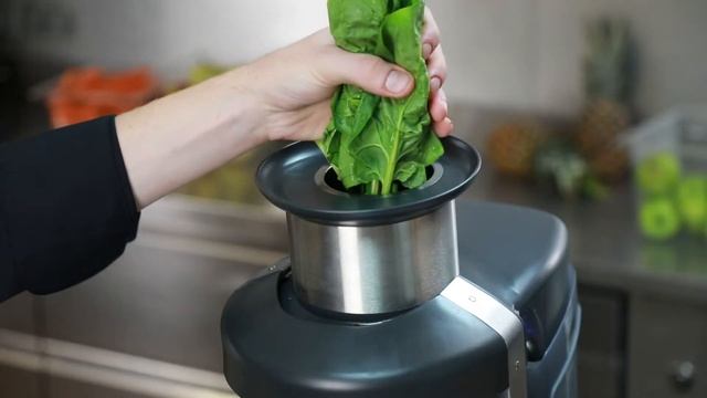 Robot-Coupe J 100 Cucumber and spinach juice смотреть онлайн