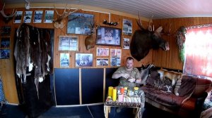 Манок на самца лося (тесты разных вариантов)