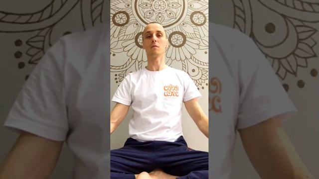 Дмитрий Зызин приглашает на мастер-класс "Основы пранаямы" смотреть онлайн