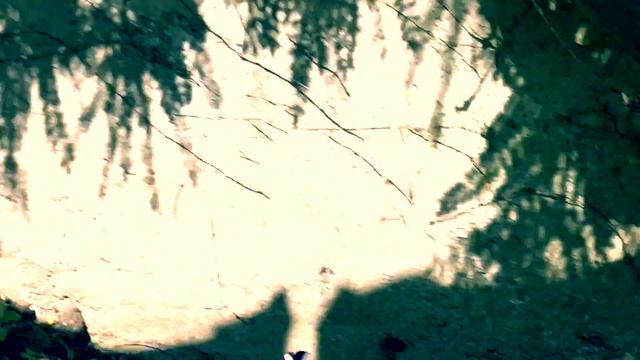 12 - В гостях у бабули, шашлыки, батут, птичка Кеша и Даниел певец смотреть онлайн