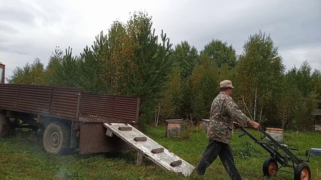 VID Погрузка пчелосемей своими силами с помощью апилифта . смотреть онлайн