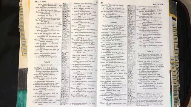 Holy Bible - Psalm 50 : 1 - 23 смотреть онлайн