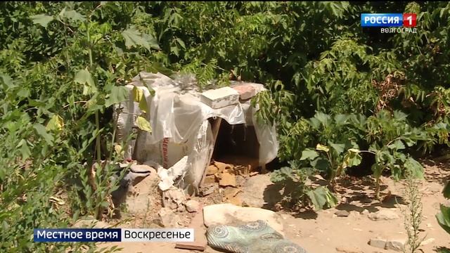 Прокуратура взяла под контроль ситуацию с бродячими собаками в поселке ГЭС смотреть онлайн