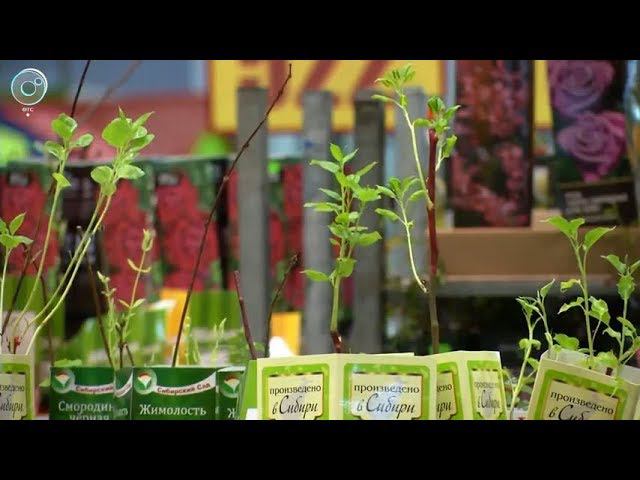 Новинки для дачи, сада и огорода в КОЛОРЛОН в Новосибирске смотреть онлайн