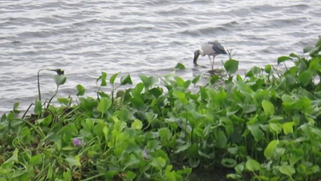 Canon SX 540 HS Zoom Test-2