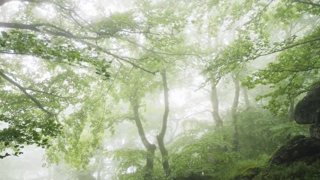MÚSICA ULTRA RELAJANTE para calmar la mente, dejar de pensar • Música para dormir, alma y cuerpo смотреть онлайн