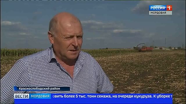 В Мордовии продолжают заготавливать корма для КРС смотреть онлайн