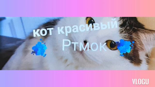 загадки Саши Том угадайте если что это не рубрика смотреть онлайн