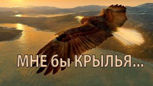 МНЕ бы КРЫЛЬЯ*