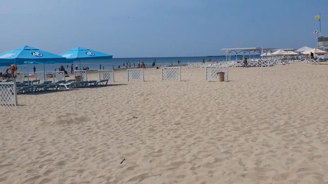 #АНАПА #ПИОНЕРСКИЙПРОСПЕКТ ВОДОРОСЛИ И БОЖЬИ КОРОВКИ смотреть онлайн