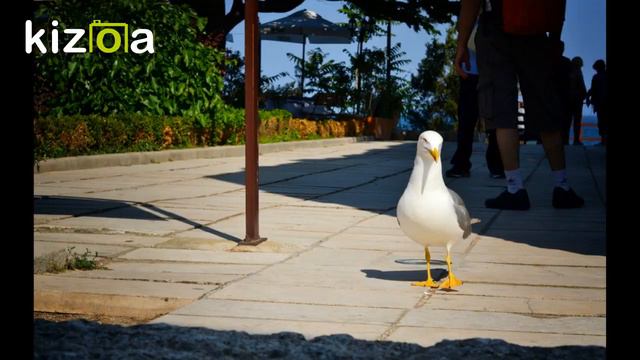 Nessebar, Болгария, часть 1 смотреть онлайн
