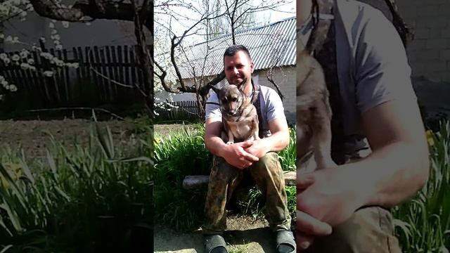 Жулька смотреть онлайн