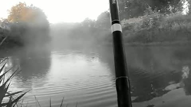 утро на реке