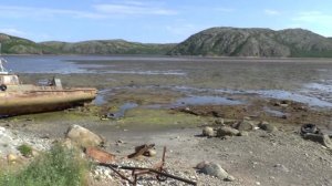 Дорога на Ура-Губа