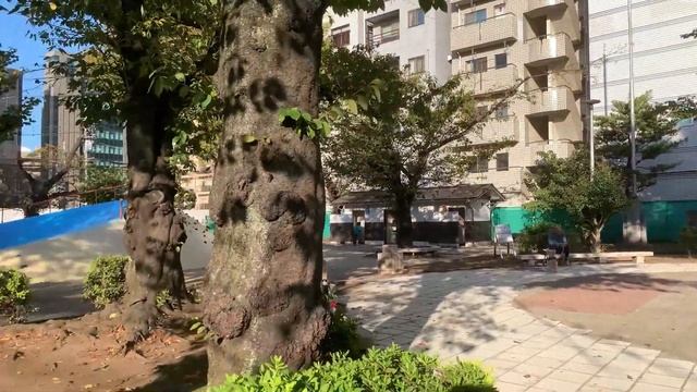Ryogoku Park, Sumida-ku in mid-October（墨田区両国公園） смотреть онлайн