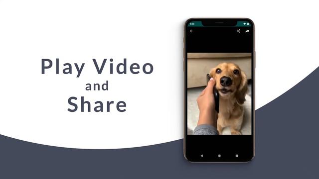 How to Save WhatsApp Status - WhatsApp Status Saver App for Android смотреть онлайн