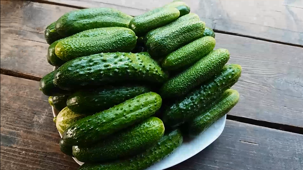 Огурцы от А до Я в природном земледелии. смотреть онлайн