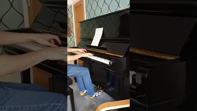 Mazurka in E minor, Op. 2 No. 1 смотреть онлайн
