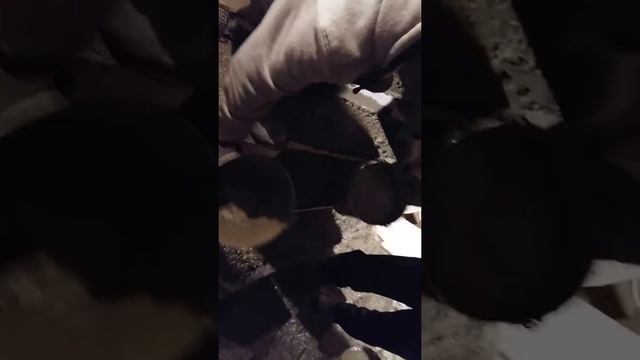 Бетонная зеркальная лестница в многоэтажном доме (двухуровневая квартира 7-8 этаж) Betonstairs.ru смотреть онлайн