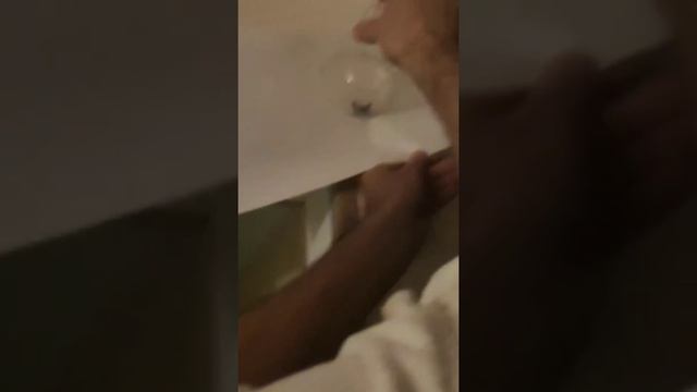 Как поймать ? скорпиона дома. смотреть онлайн