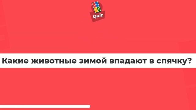 Система тестирования в школах BeBrain смотреть онлайн
