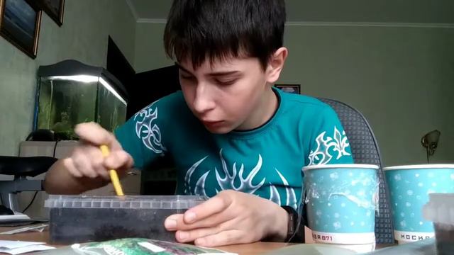 Эксперимент по выращиванию зелени. Часть 1. смотреть онлайн