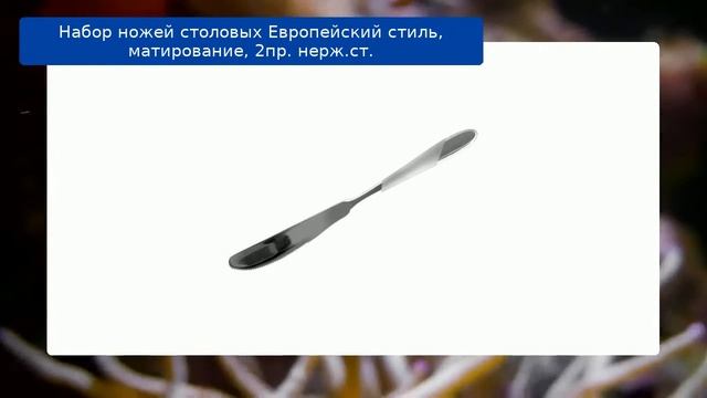 Набор ножей столовых Европейский стиль, матирование, 2пр. нерж.ст. обзор смотреть онлайн