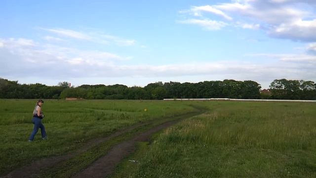 Курсинг в Челябинске 11.06.2013. Такс Арчи смотреть онлайн
