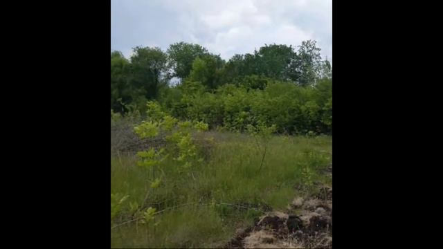 Добрый день