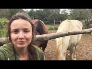 СТРОИМ БОЛЬШУЮ ФЕРМУ. Жизнь в деревне. Животные. Ветеринарные вопросы