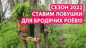 СТАВИМ ЛОВУШКИ ДЛЯ БРОДЯЧИХ РОЕВ!!!