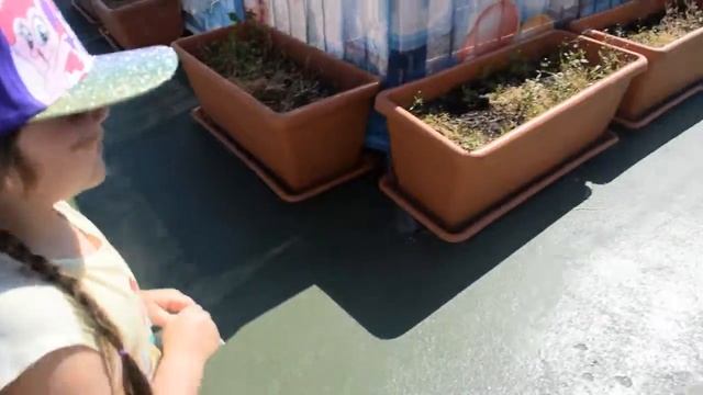 весёлый день с семьей! парк развлечений смотреть онлайн