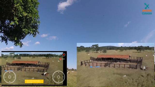 Review DJI Tello - Filmagem na Fazenda смотреть онлайн